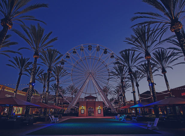 Estate Planning Attorney in Irvine, California​ | Michael Pevney