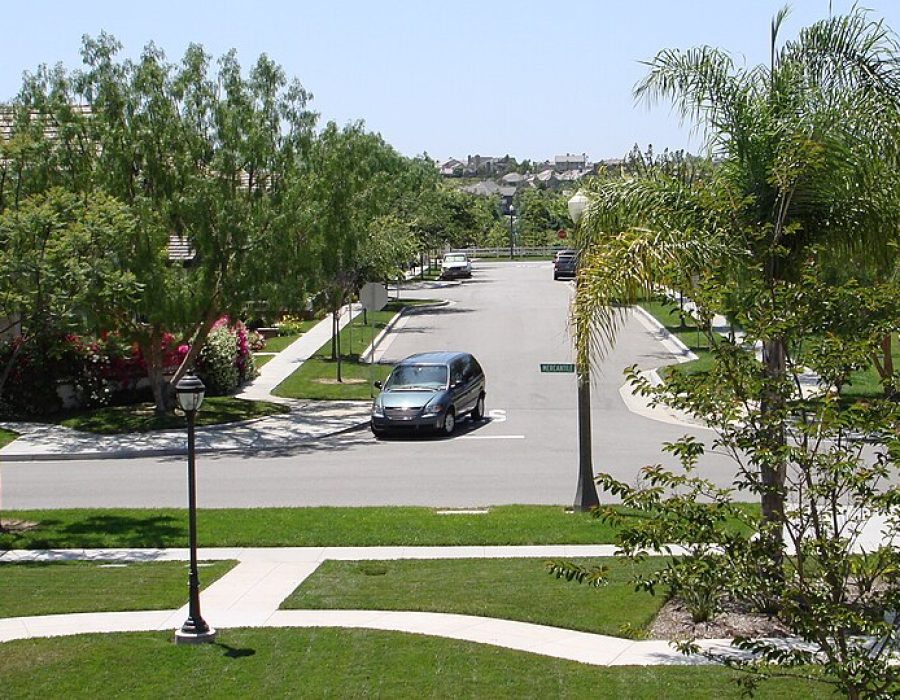 Quiet suburban street with greenery