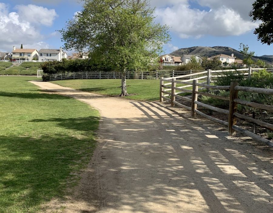 Pathway through green landscape and homes