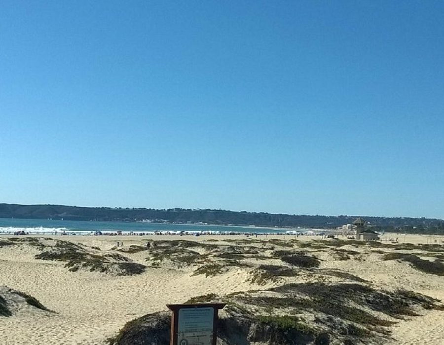 Sunny beach with clear blue sky