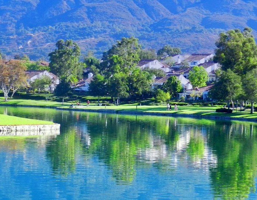 Lush landscape with serene water reflection
